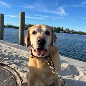 Meet your Posher, Caitlin